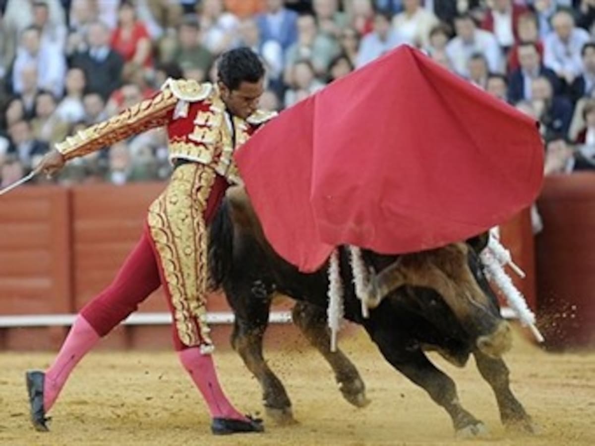 Proponen referendo en contra de las corridas de toros y maltrato animal