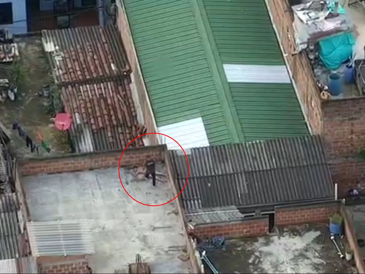 Cali: un joven de 19 años sería el asesino de 5 personas en hechos aislados