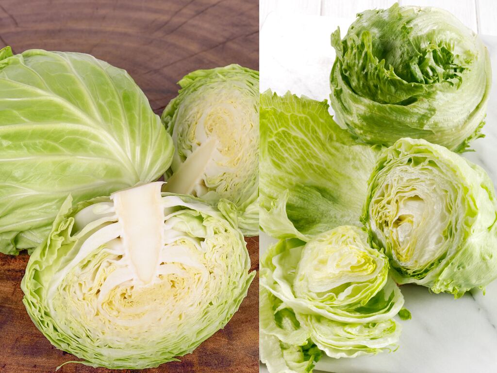 En la parte derecha se encuentran repollos y en la parte derecha varias lechugas (Fotos vía Getty Images)