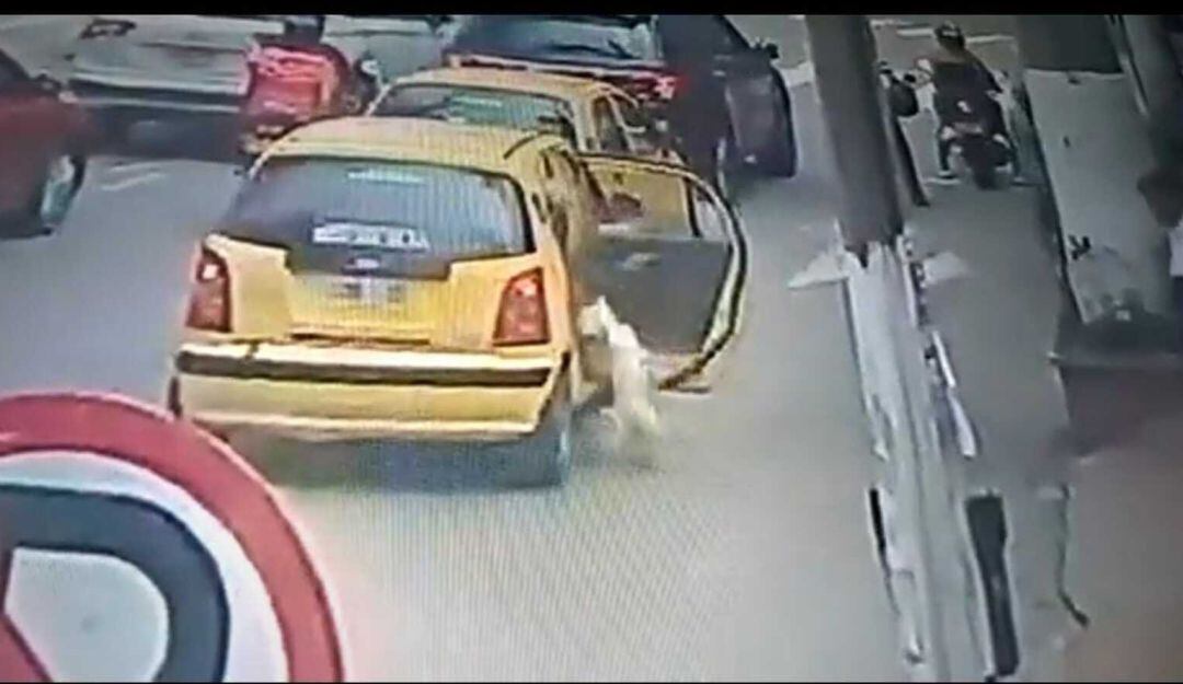 Abandonan a un perro en Fusagasugá 