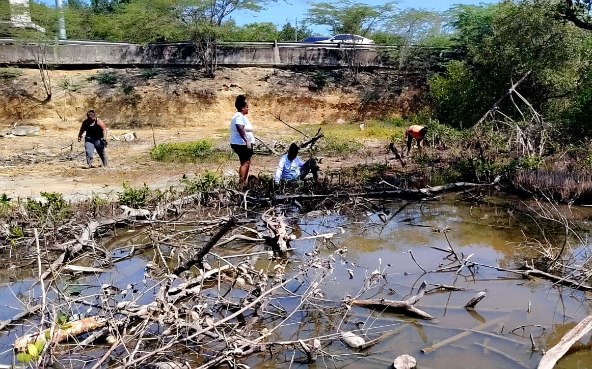 Se inicia proceso de recuperación de zona degradada en la Boquilla