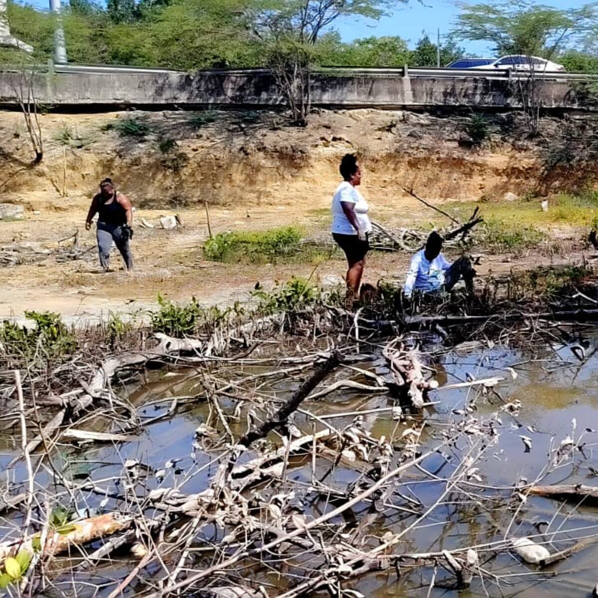 Se inicia proceso de recuperación de zona degradada en La Boquilla en el norte de Cartagena