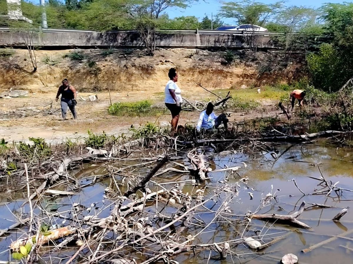 Se inicia proceso de recuperación de zona degradada en La Boquilla en el norte de Cartagena
