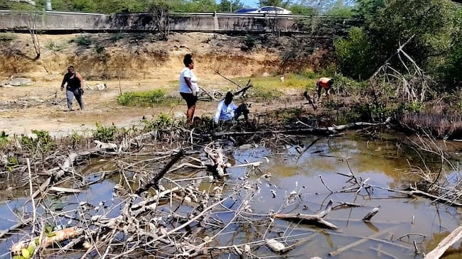Se inicia proceso de recuperación de zona degradada en la Boquilla