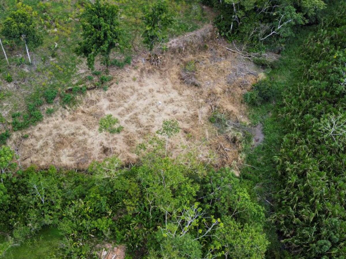 Suspenden resolución que regula extracciones mineras en áreas protegidas