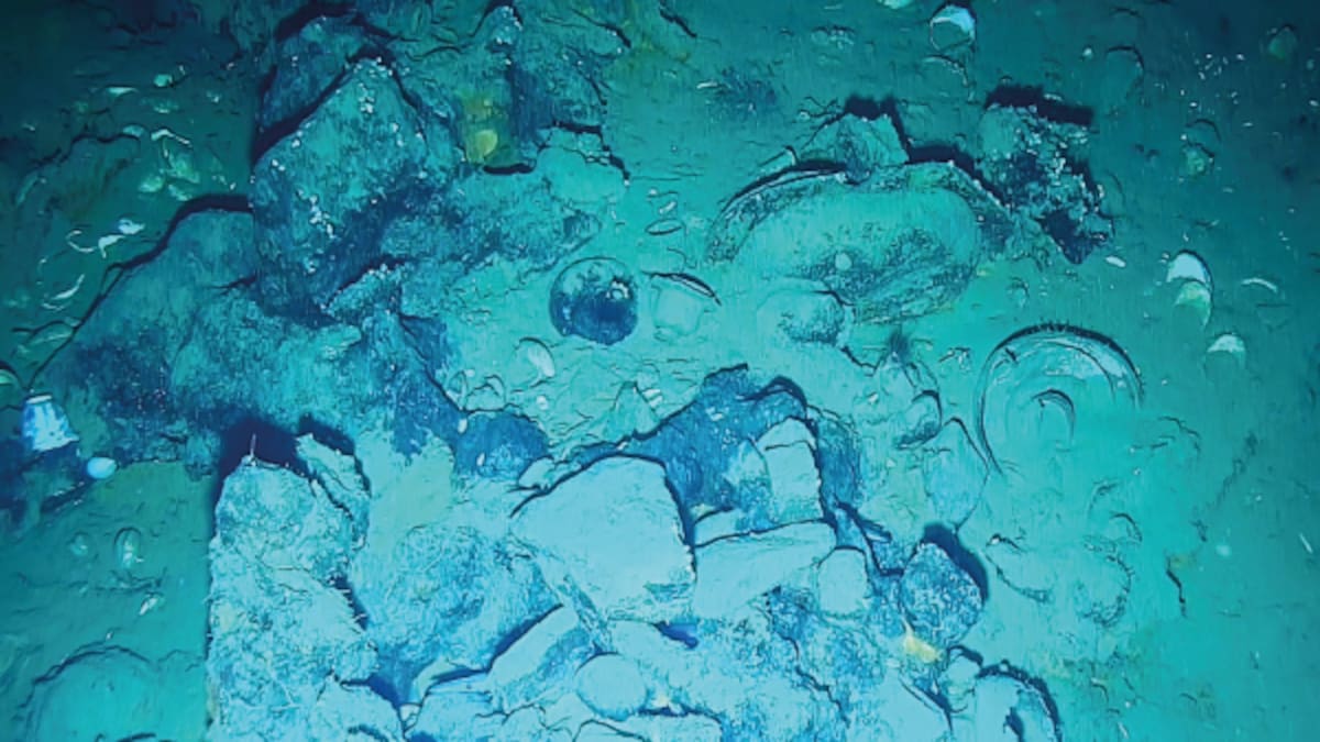 EXCLUSIVO: 5 objetos arqueológicos fueron extraídos del Galeón San José para estudiar su hundimiento