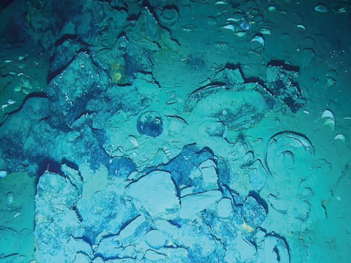 Primera expedición 2024 al Galeón San José identificó nuevas zonas de interés arqueológico