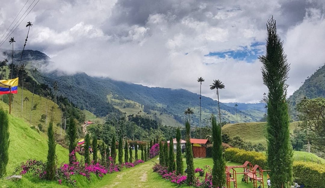 Valle de Cocora