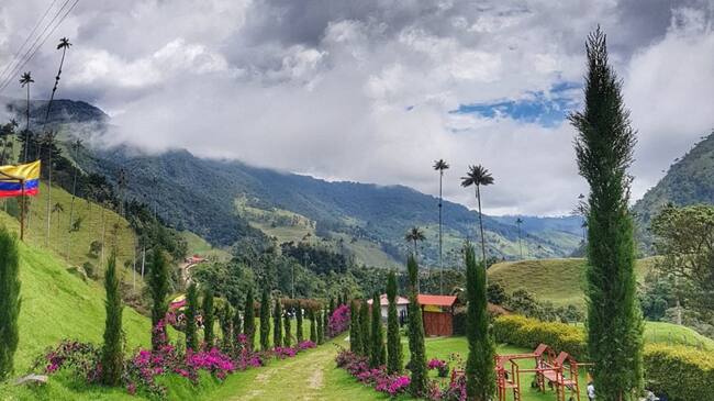 Valle de Cocora