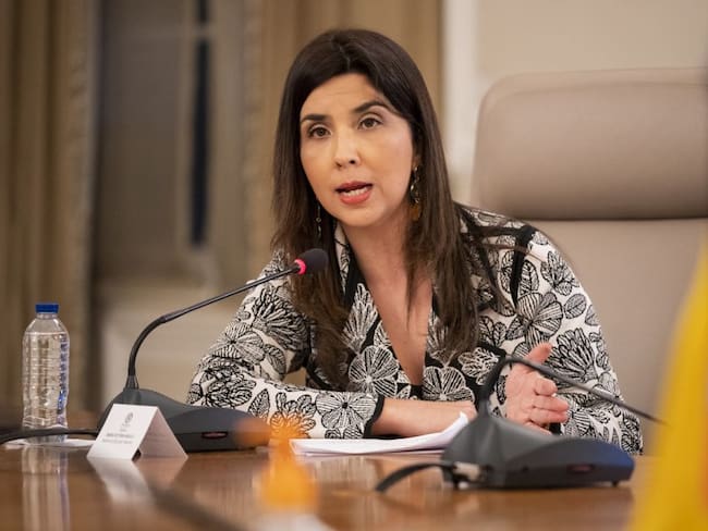 La ministra María Victoria Angulo, se refirió a las polémicas declaraciones del ejecutivo, Nelson Alarcón