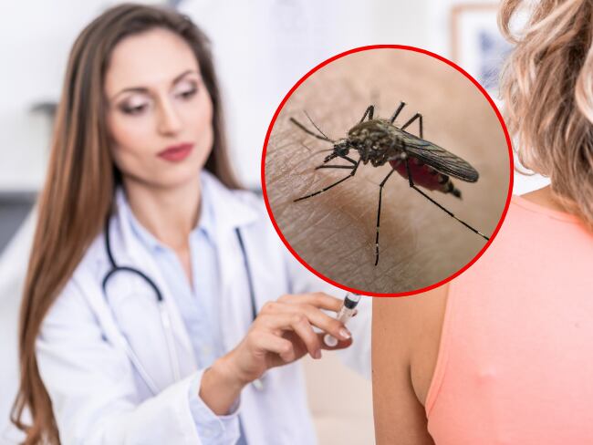 Fiebre amarilla: Grupos de personas que deben aplicarse el refuerzo de la vacuna según Minsalud. Getty Images