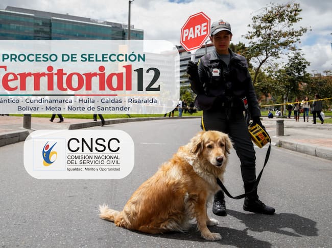 Imagen del vigilante tomada de Getty Imagenes (Crédito: Mauricio Alvarado) // Imagen del logo territorial tomada de Comisión Nacional del Servicio Civil // Imagen del logo CNSC tomada de Comisión Nacional del Servicio Civil
