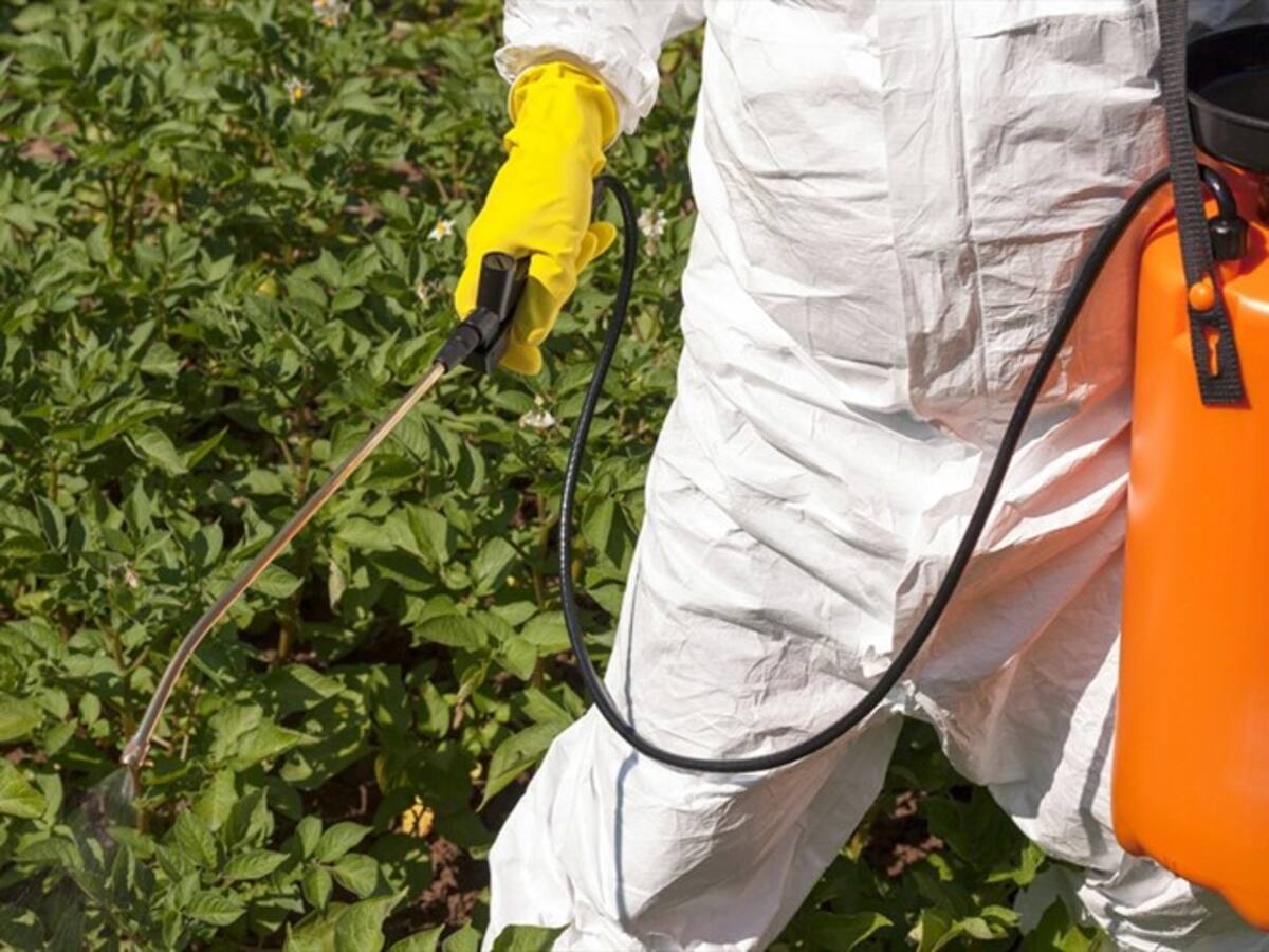 Por plaguicidas niños de Usme y Sumapaz están sufriendo de déficit de atención