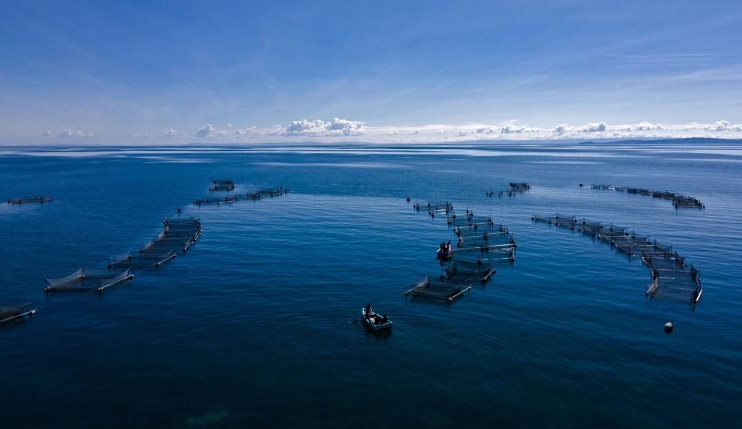 Jornadas de pesca de indígenas en el lago Titicaca, compartido por Perú y Bolivia.                Foto: Getty 