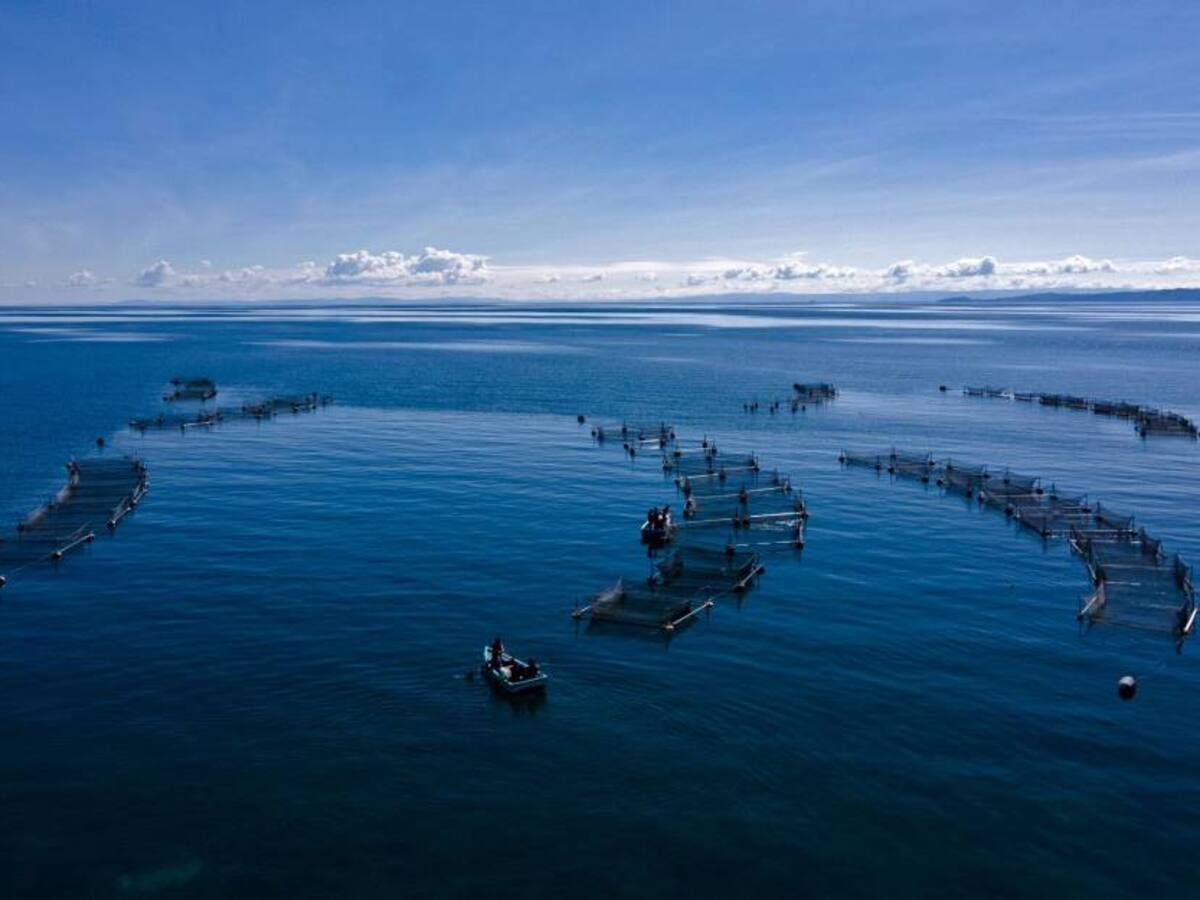 Perú y Bolivia lanzan laboratorio para ‘producir’ peces en riesgo de extinción