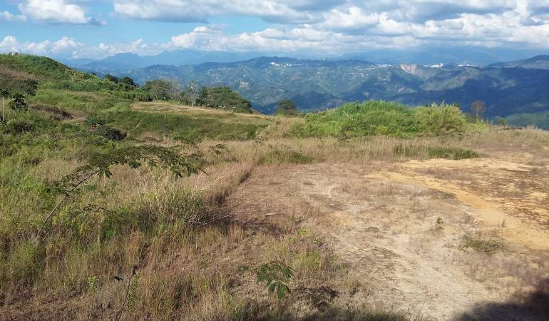 Terrenos donde se construye Aerocafé