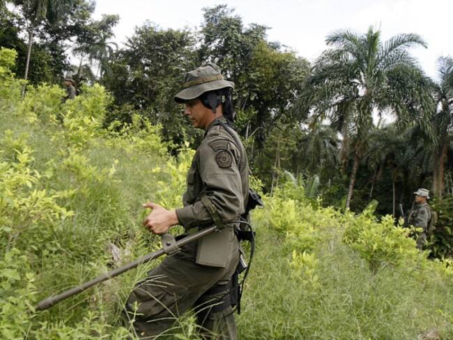 Tolima tiene nuevas zonas libres de minas antipersonas