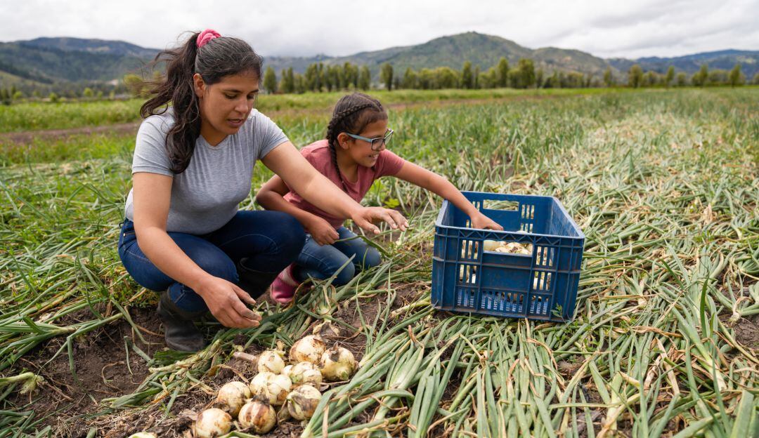 En Boyacá cerca de 1,333 agricultores se han visto damnificados por la ola invernal