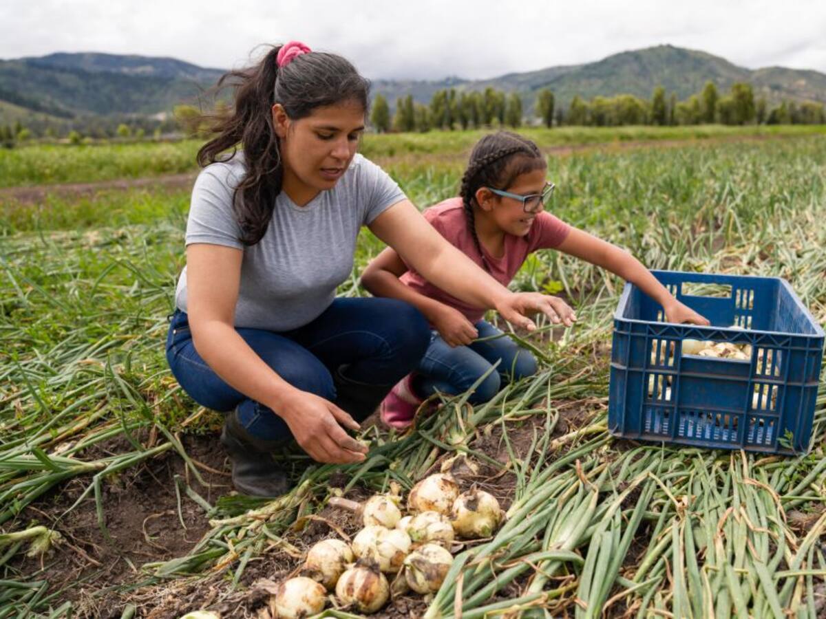 Plantean más educación a la mujer rural, para campos más productivos