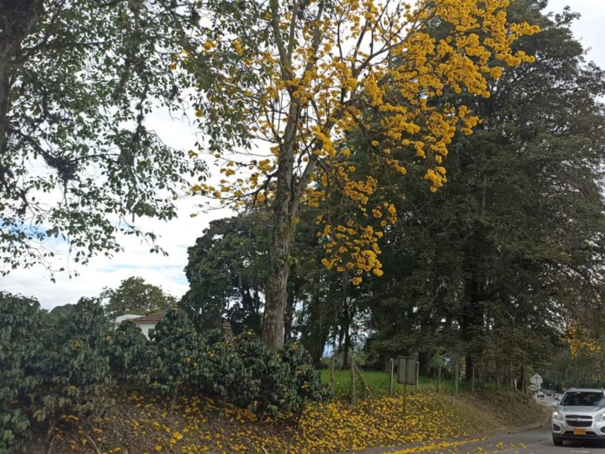 Jueves 25 de agosto, las noticias más importantes de Armenia y Quindío