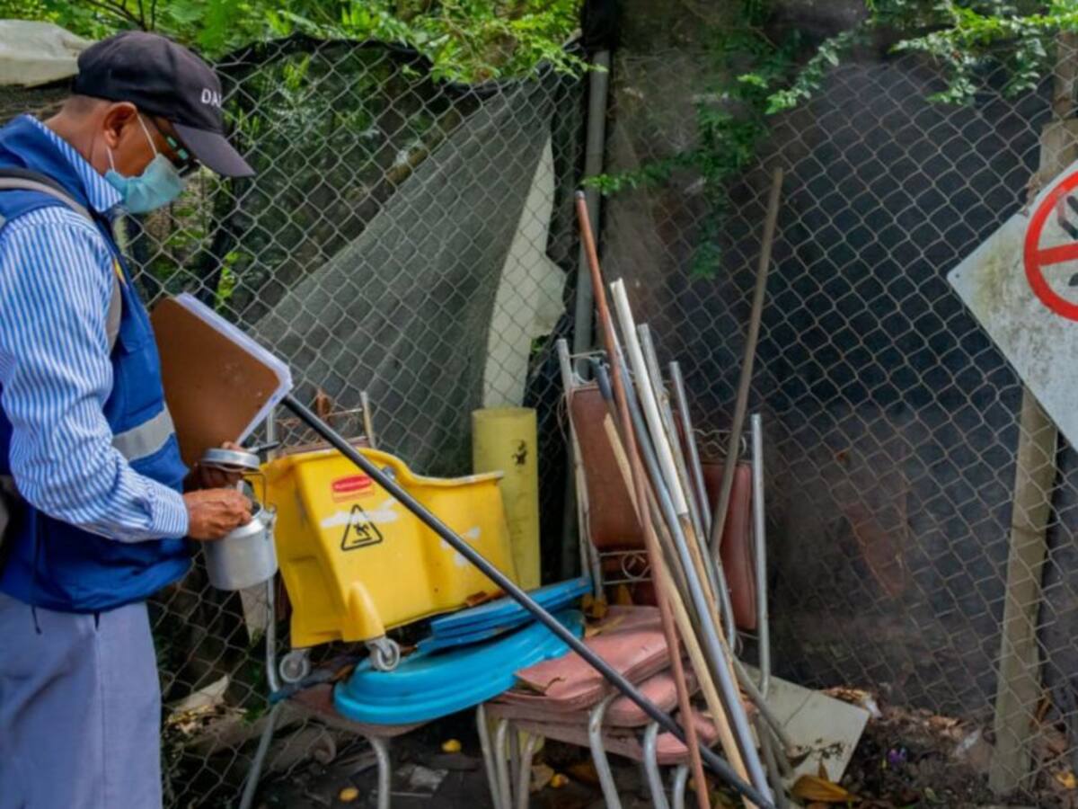 En lo corrido del año, en Cartagena se han presentado 155 casos de dengue