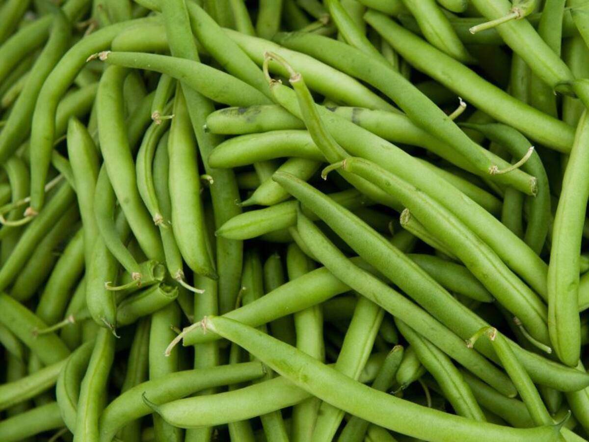 Habichuela, el alimento con más alzas en noviembre