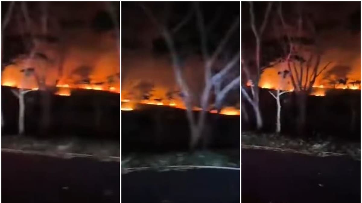 Incendio forestal ocasionó emergencia cerca al Aeropuerto Perales de Ibagué