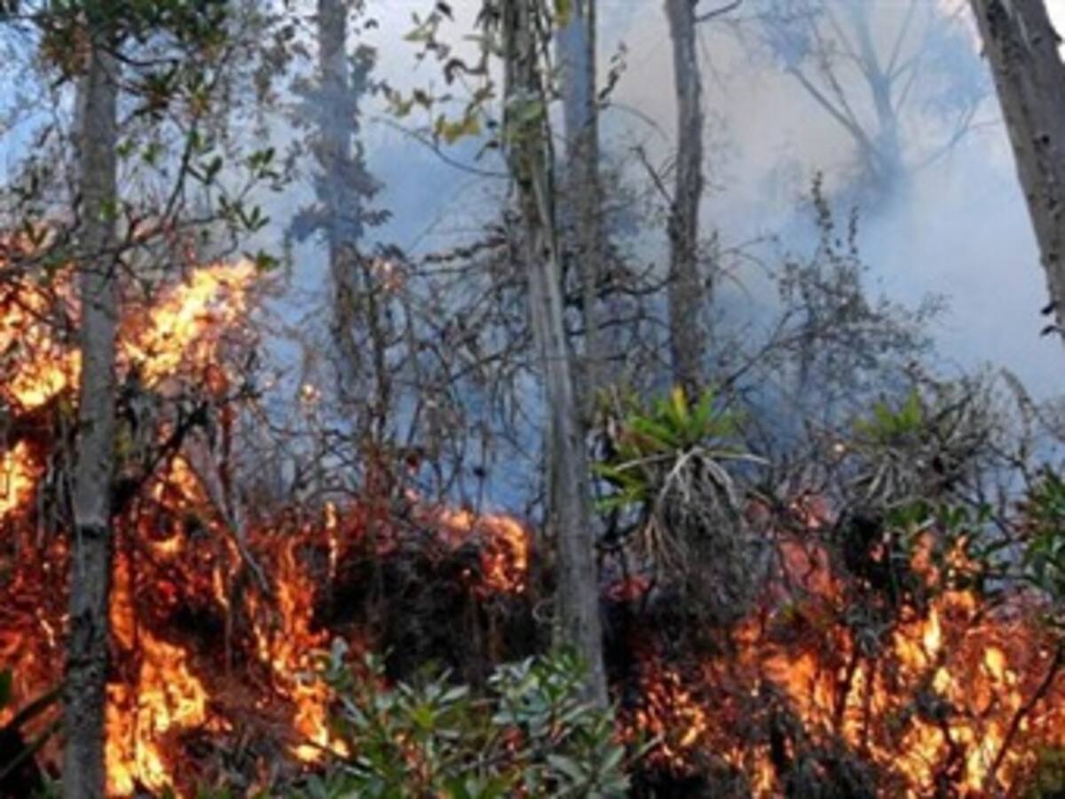 Más de 30 personas debieron ser evacuadas en Cuítiva, Boyacá, por incendio forestal