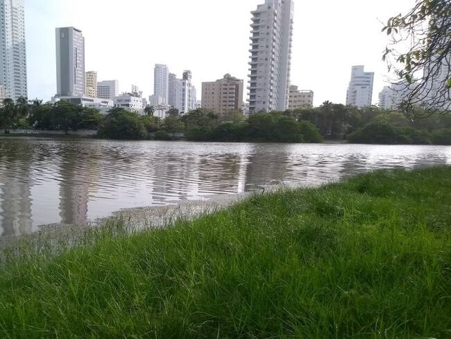 Entutelan a Alcaldía de Cartagena y Gobierno Nacional por caso El Laguito