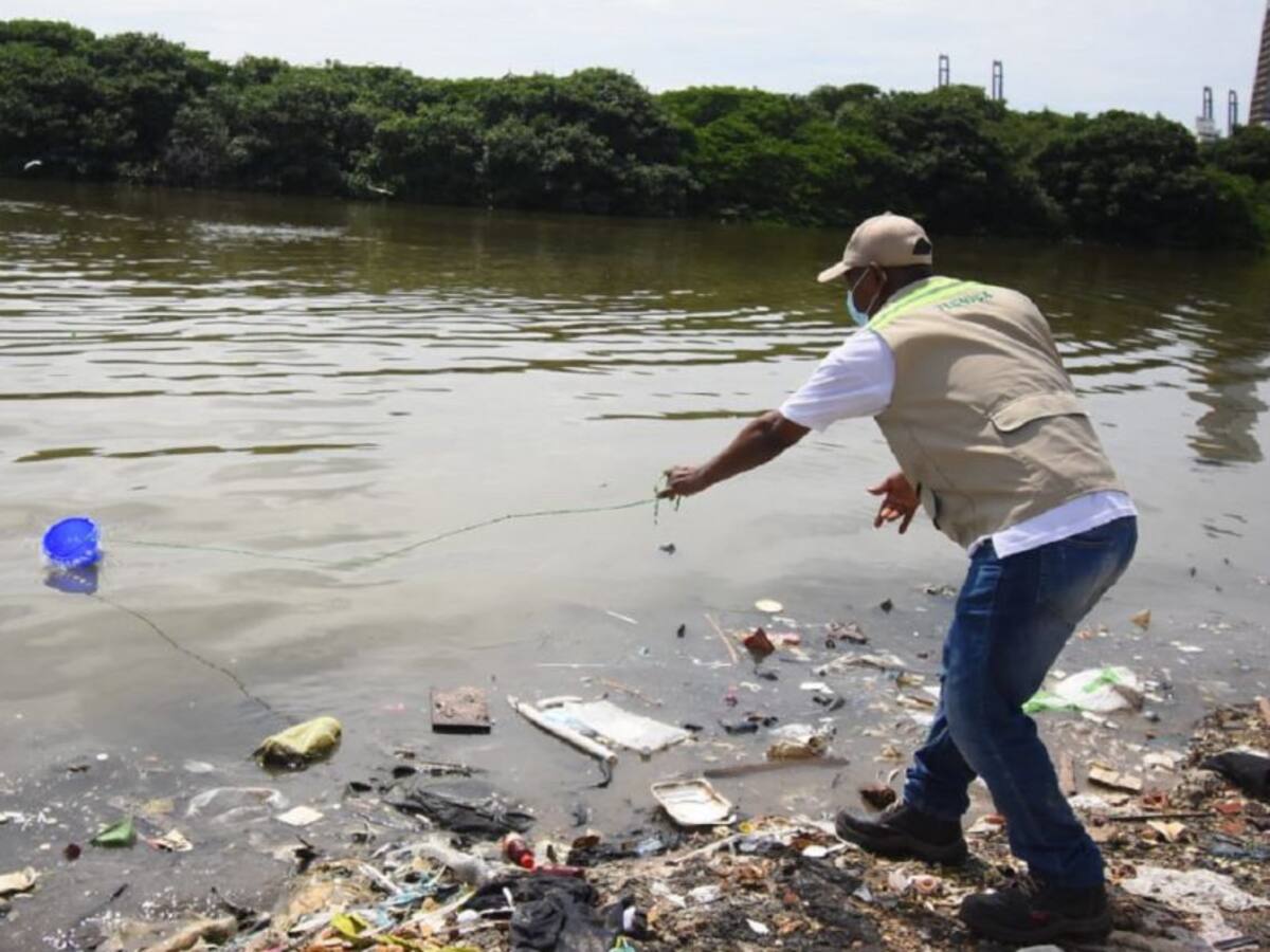 Analizan condiciones de dos lagunas en Cartagena por mortandad de peces