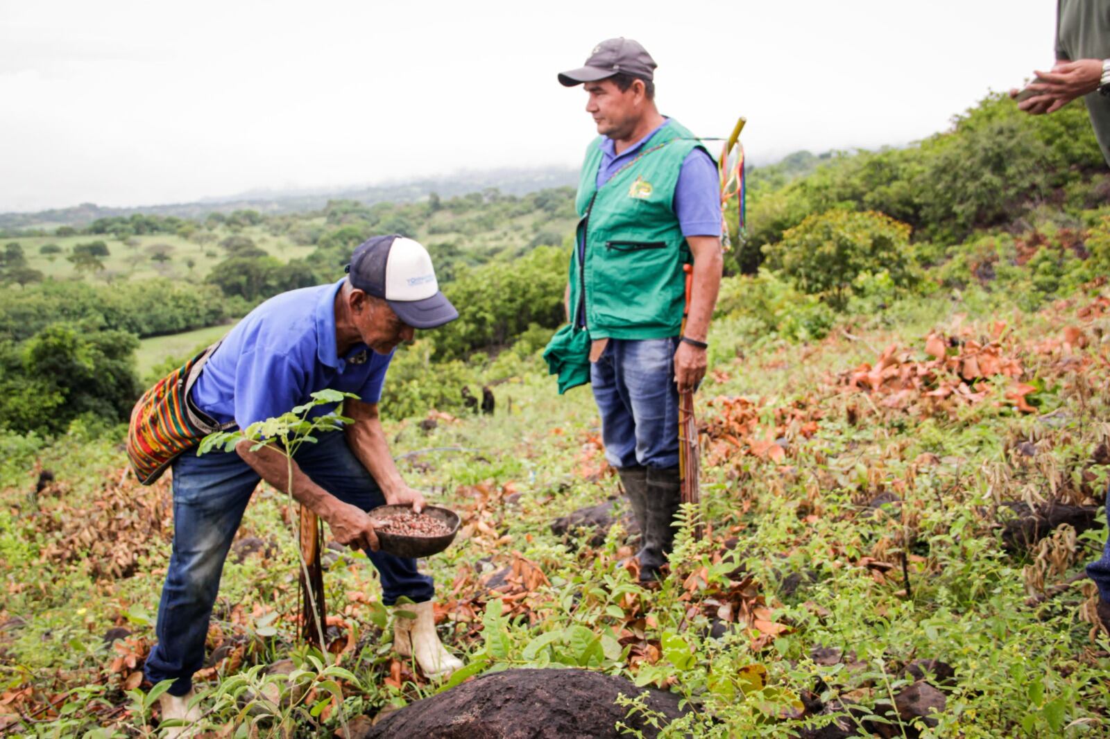 Comunidades Indígenas del sur del Tolima