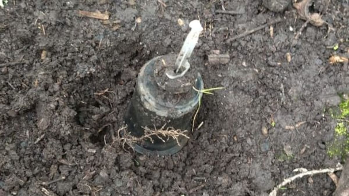 El Ejército desactivó artefactos explosivos cerca de la vía Panamericana en Nariño