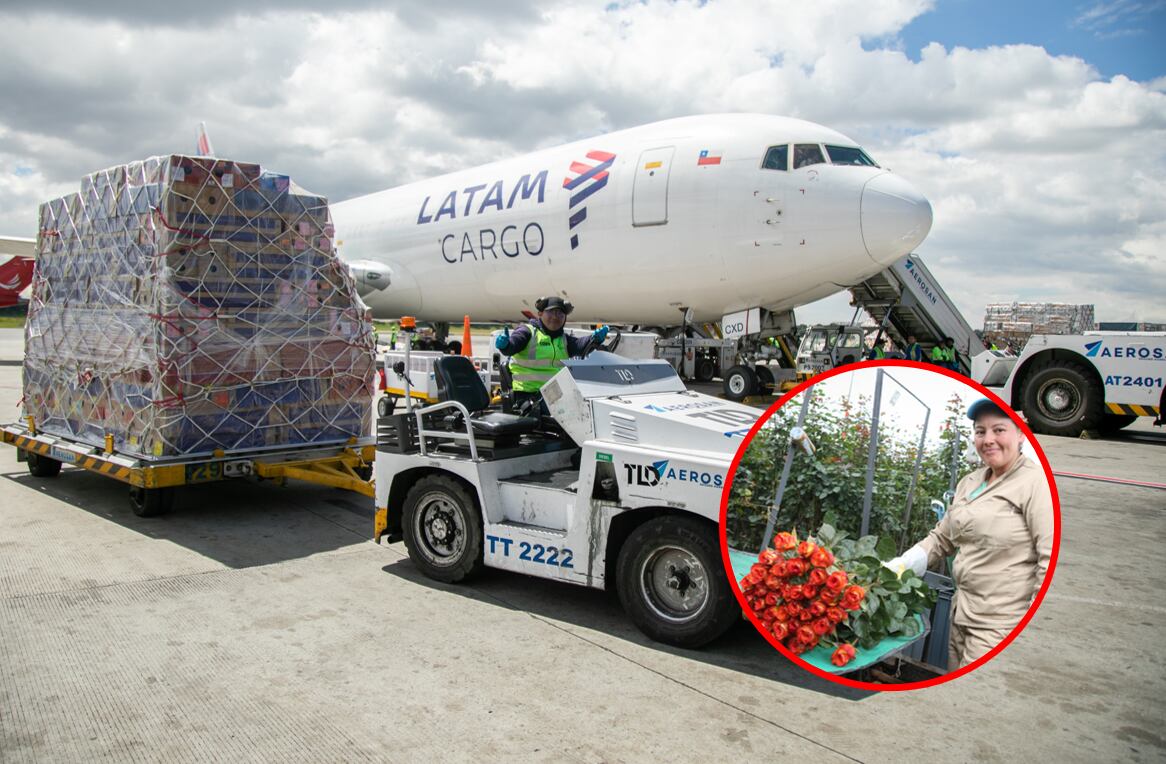 30.000 toneladas de flores colombianas han llegado a EE.UU. para San Valentín. Cortesía: @LATAM_CO
