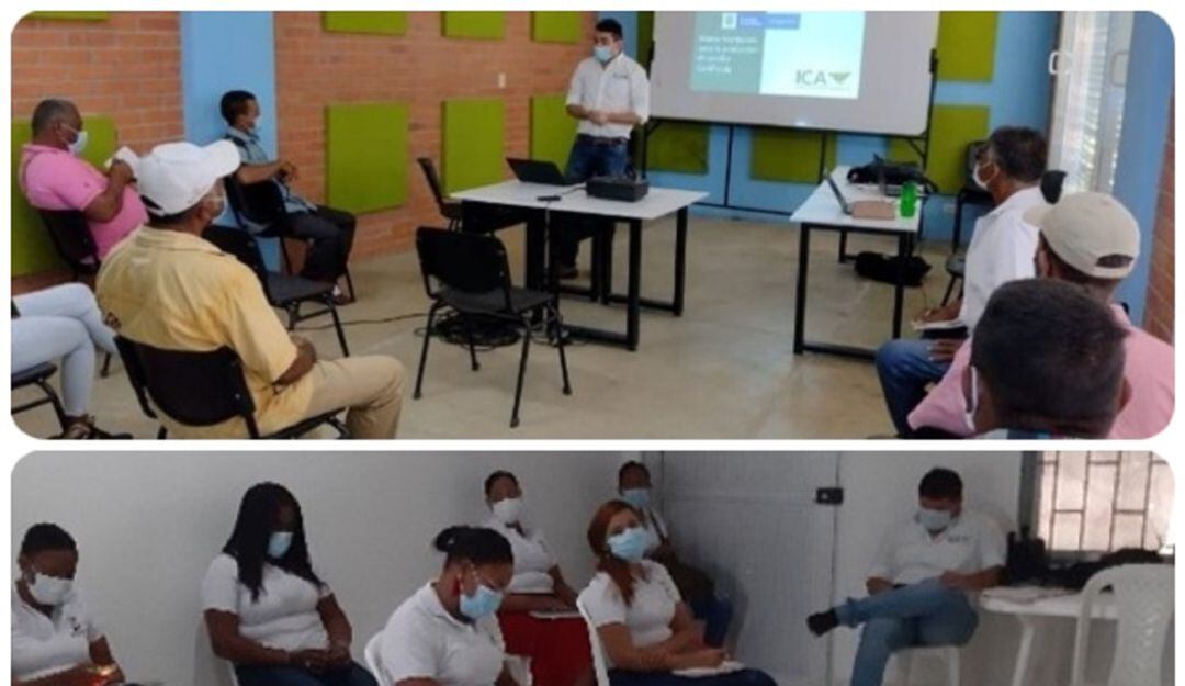 El ICA socializó el marco normativo para la producción de semilla certificada de maíz con los campesinos del municipio de Cicuco