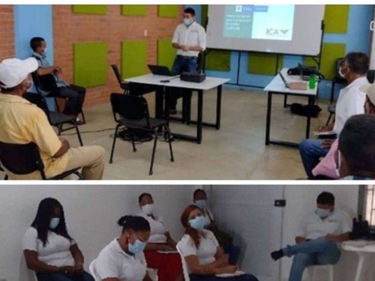 Realizaron capacitación en uso de semillas certificadas en Bolívar