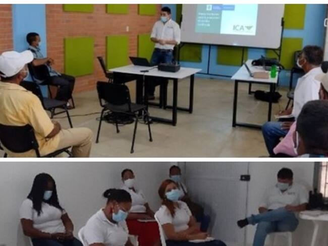 El ICA socializó el marco normativo para la producción de semilla certificada de maíz con los campesinos del municipio de Cicuco