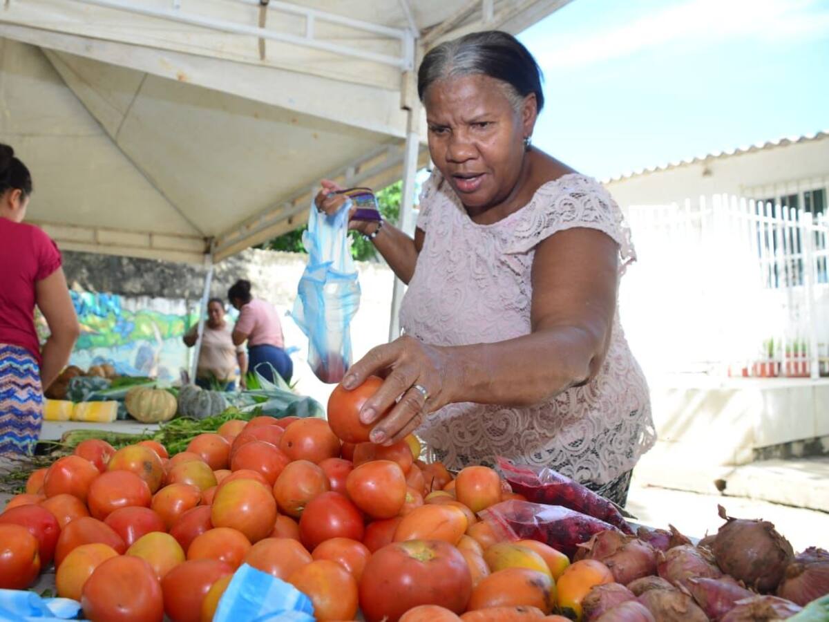 Este viernes y sábado habrá mercados campesinos en el barrio La Consolata