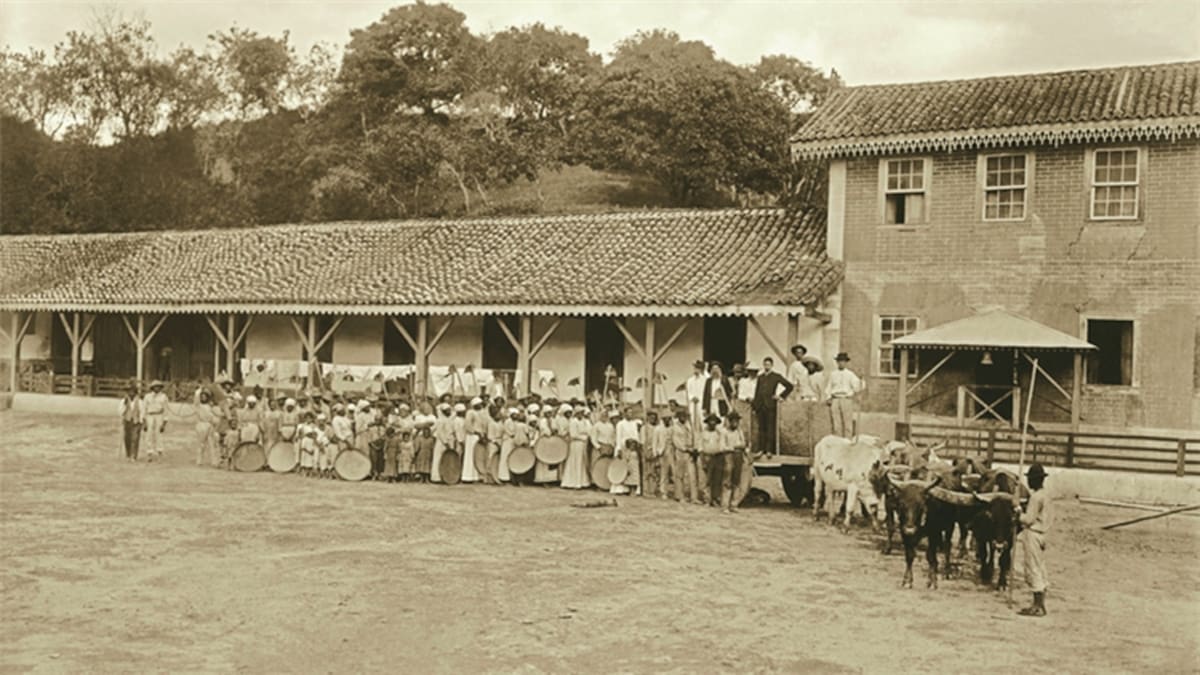 "Negra con su hijo", otra imagen de Marc Ferrez, esta vez en Salvador, Bahía, 1884. Además de imágenes de trabajo rural y minería, la exposición reúne escenas urbanas o situaciones domésticas de la época. (Foto: Marc Ferrez/Colección Gilberto Ferrez/Acervo Instituto Moreira Salles).
