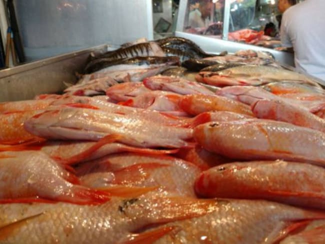 Hay abundancia y bajos precio según los pescadores en La Dorada (Caldas)