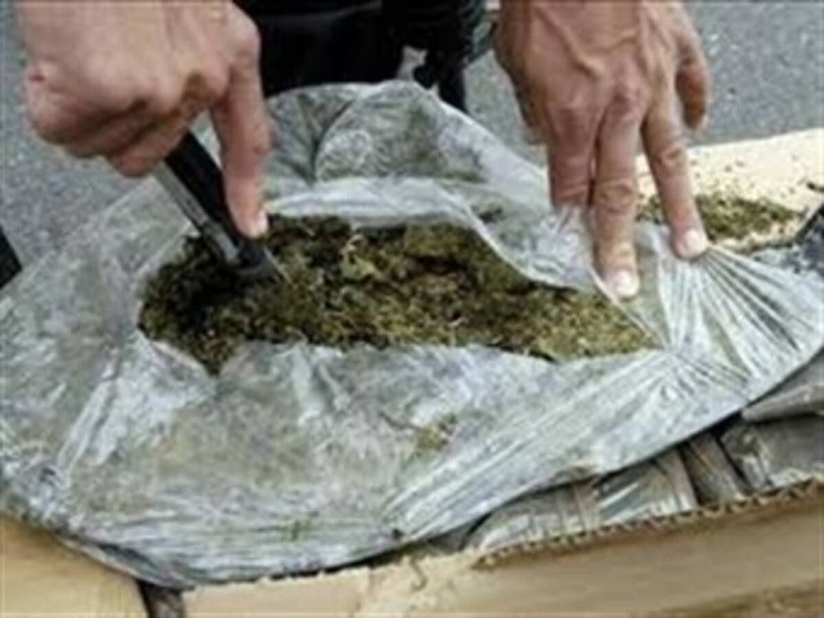 Aumenta el tráfico de marihuana hacia el valle de Aburrá