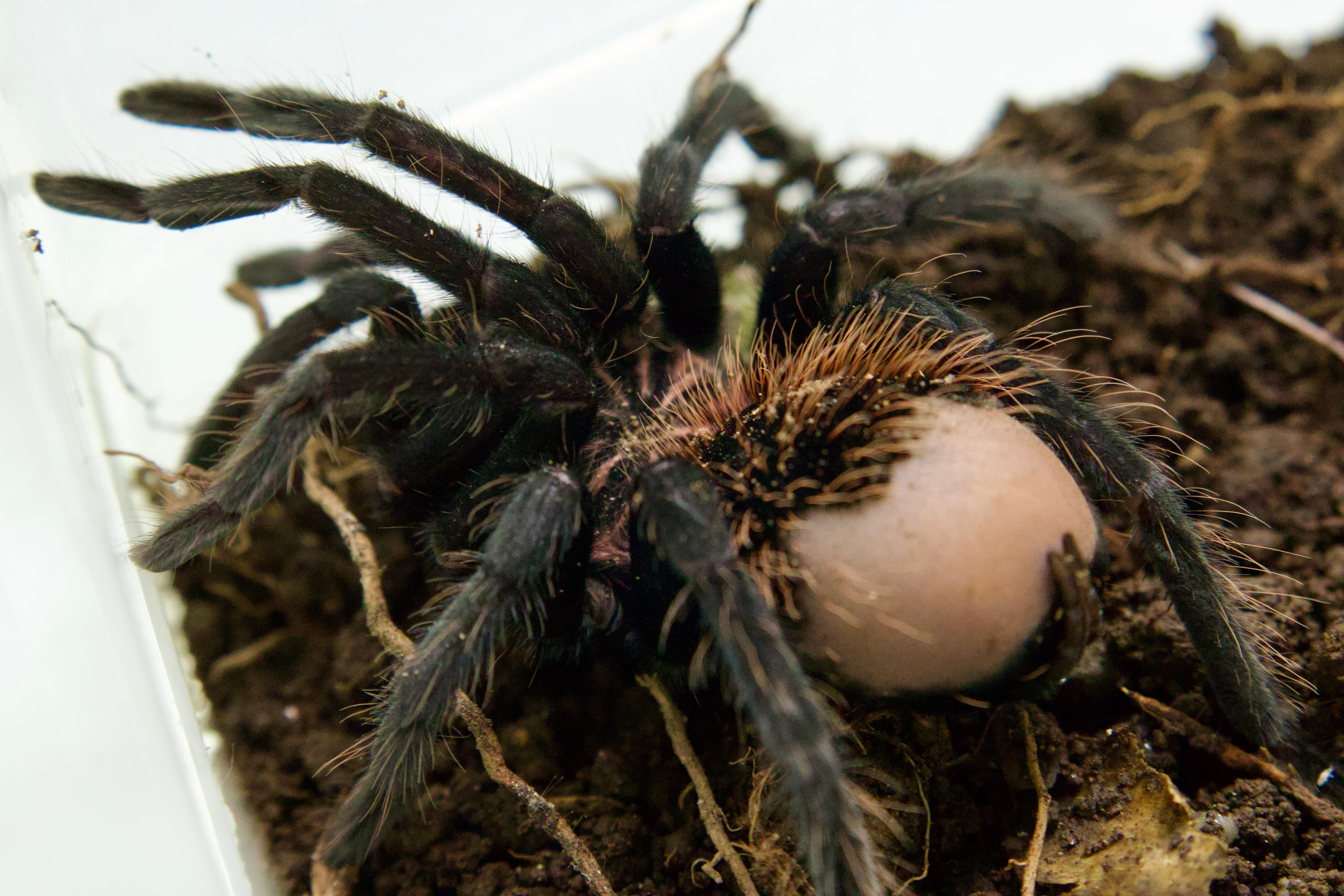 Fotografía suministrada: Carder