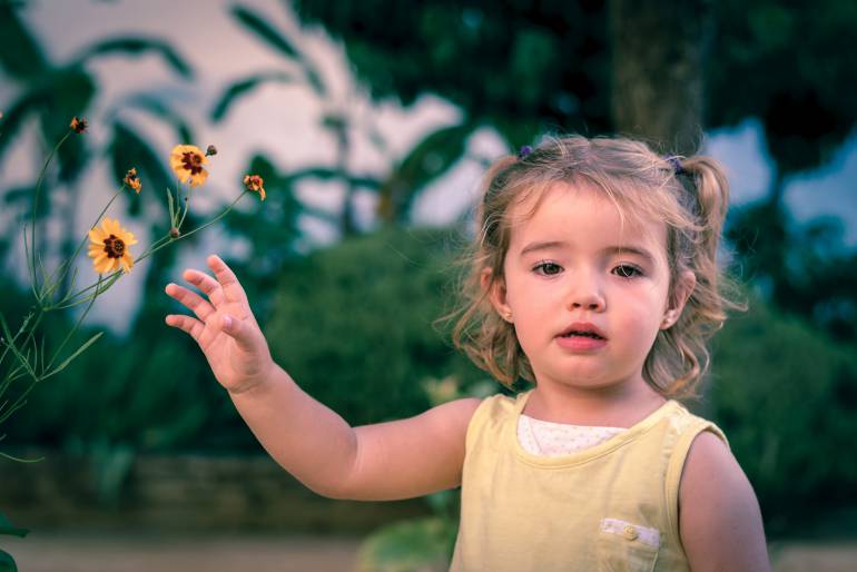 Fuente:creativecommons/GuillermoAlonso