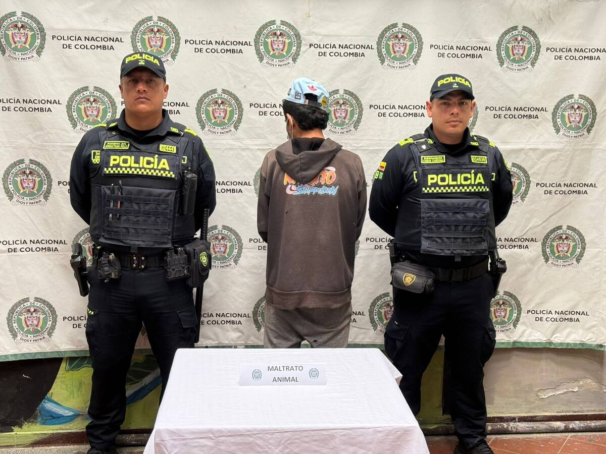 Capturan a un hombre señalado de agredir a un perro en vía pública de Salento, Quindío