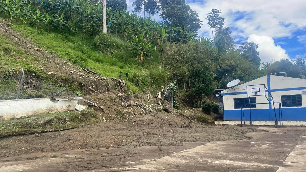 Informe escuela Buenavista