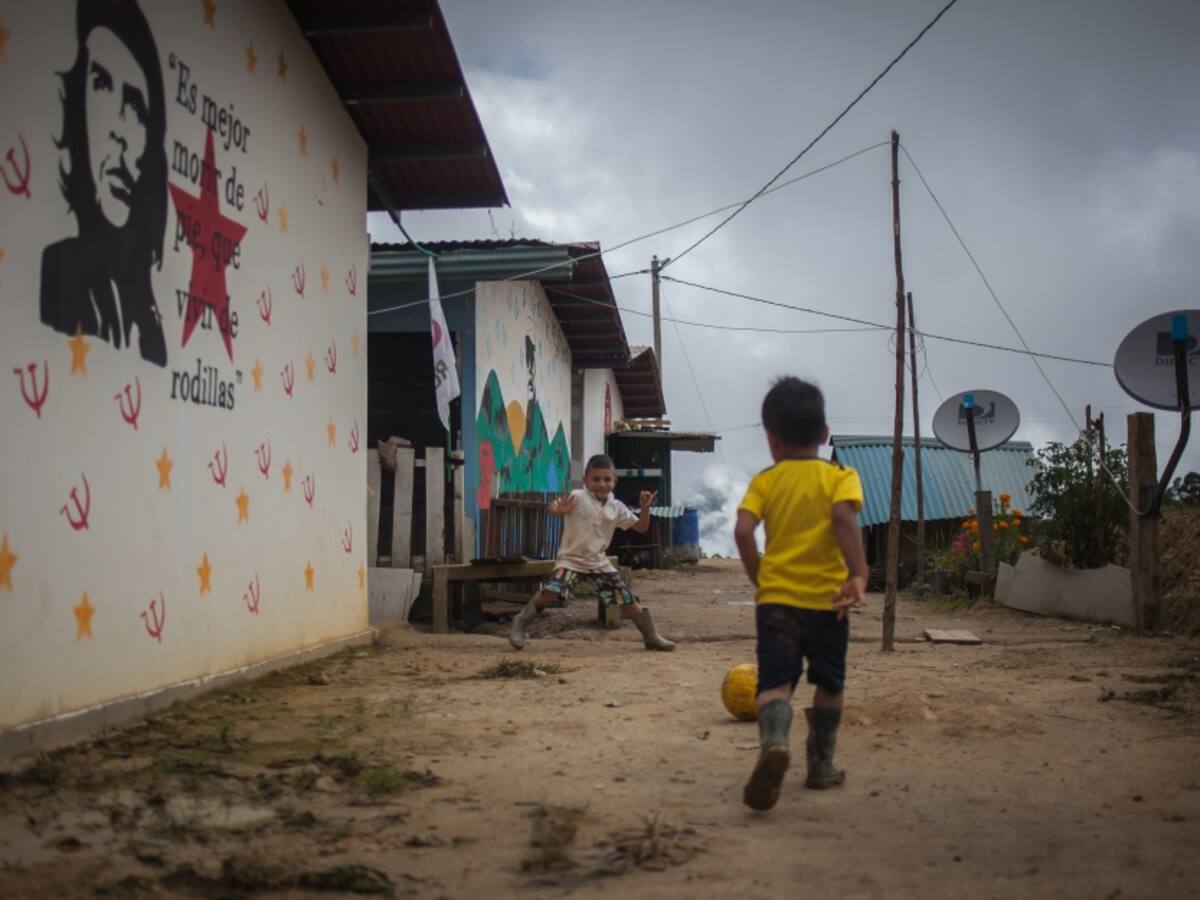 Entre 3 y 7 meses duraría el proceso de compra de predios para ExFarc
