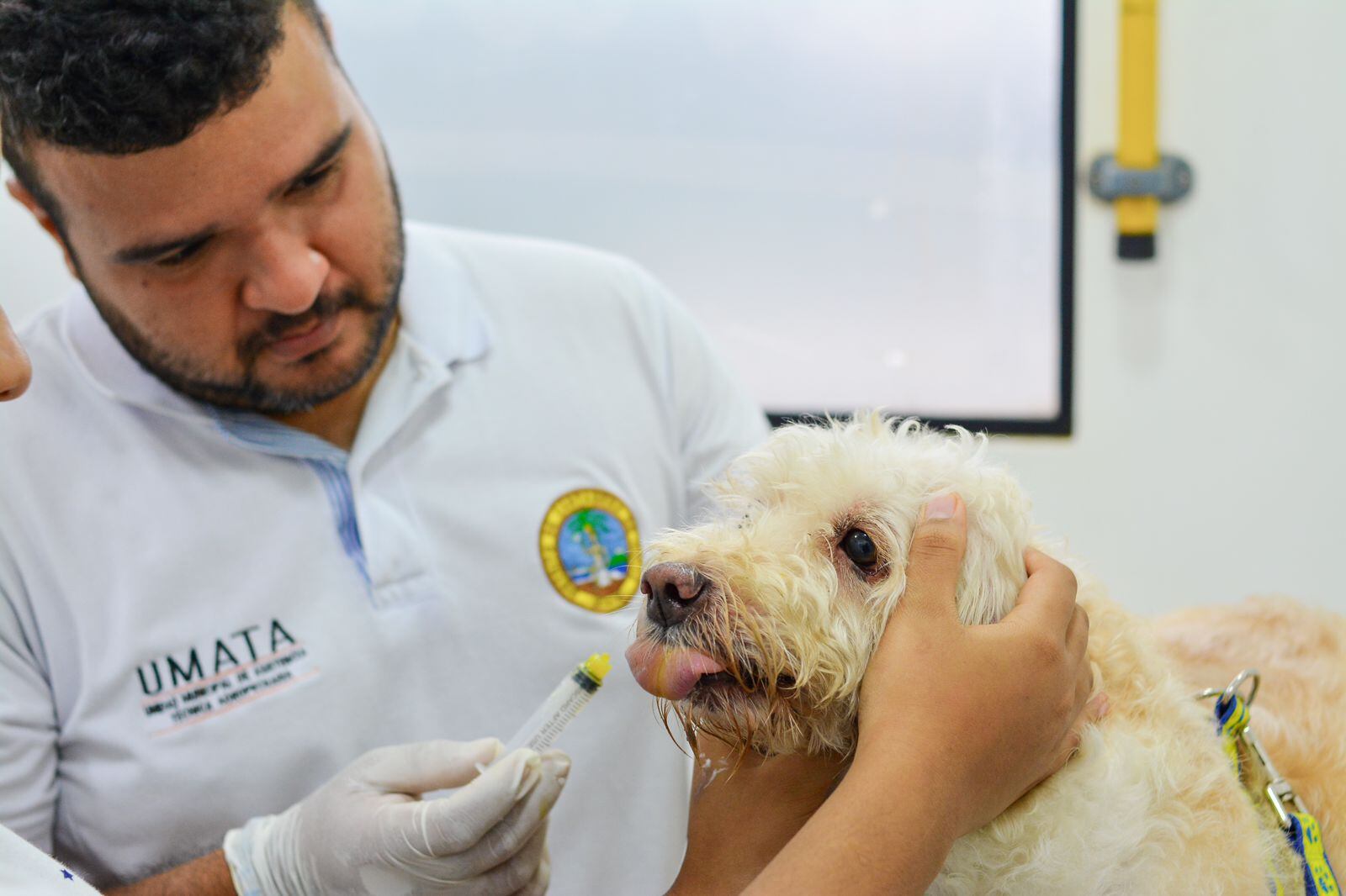 Alcaldía de Cartagena