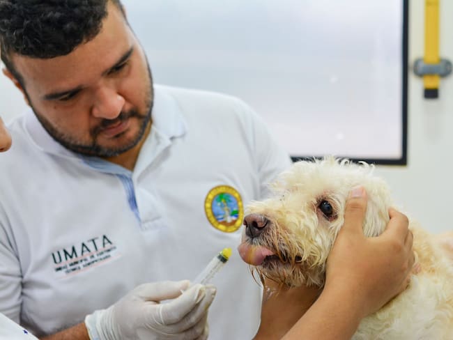 Alcaldía de Cartagena