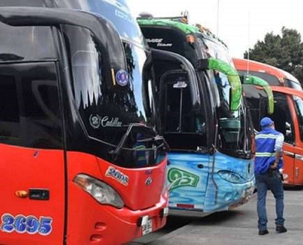 Empresas de buses // Cortesía MinTransporte