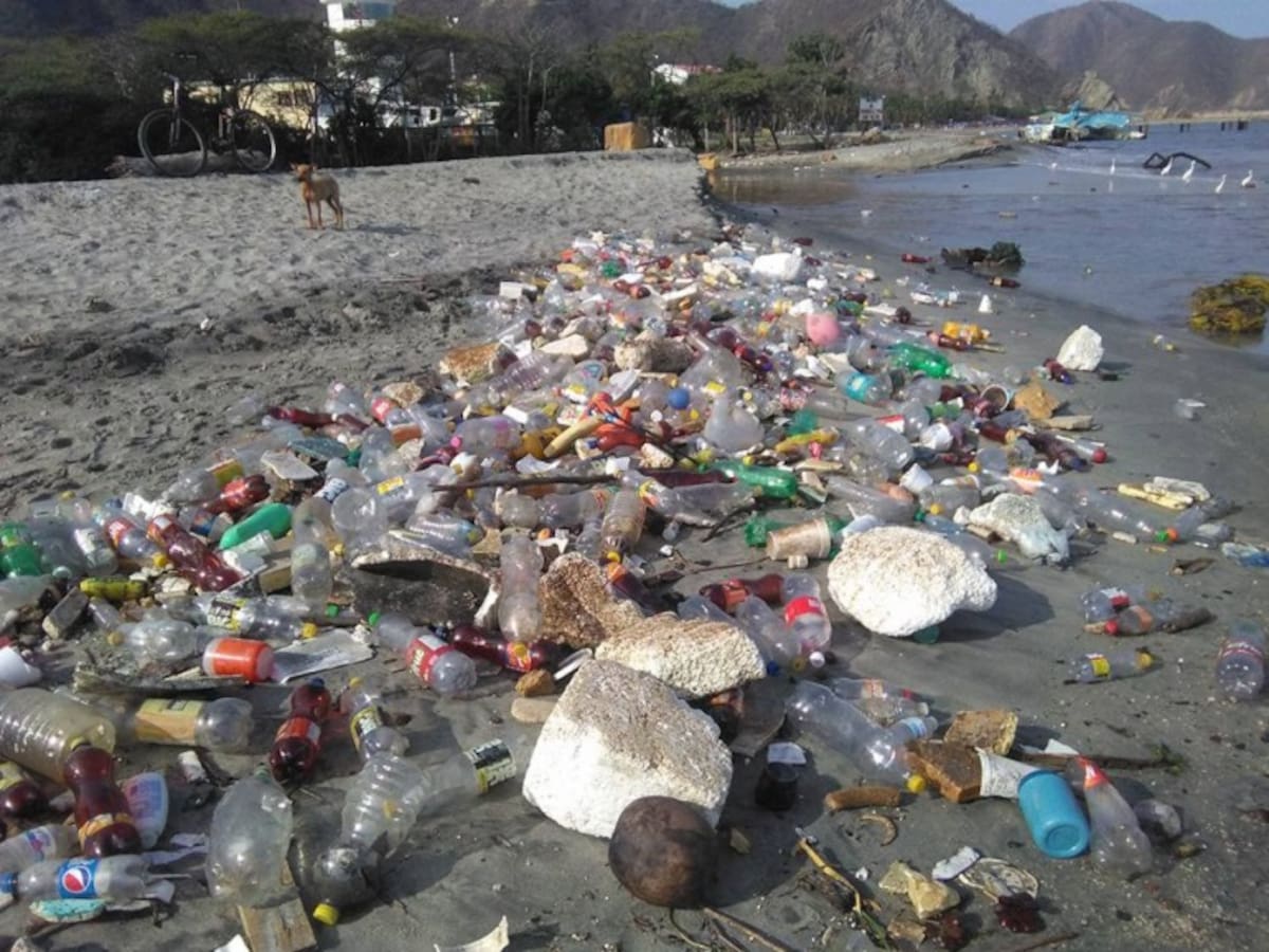 El río Manzanares agoniza