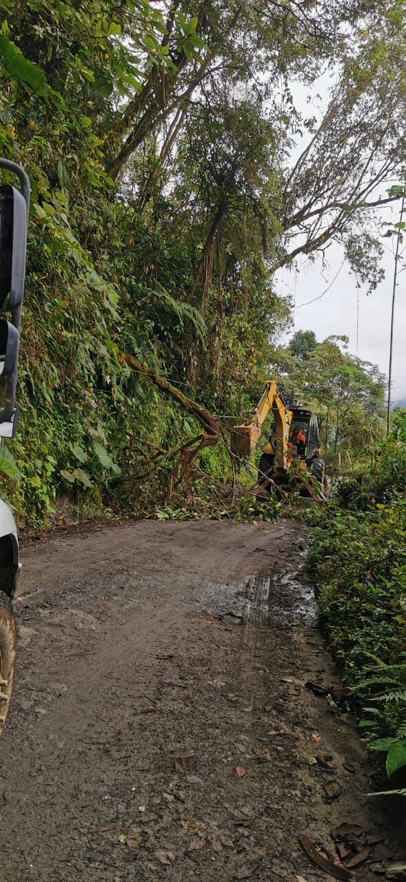 La maquinaria amarilla removiendo la capa vegetal de una carretera. Foto: Secretaría de Infraestructura de Caldas.
